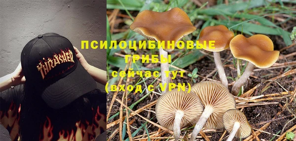 кокаин Бородино