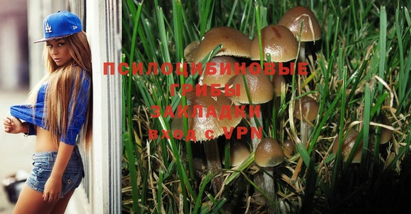 кокаин Бородино