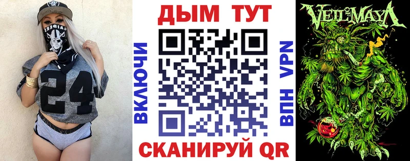 Шишки марихуана план  как найти закладки  Горно-Алтайск 